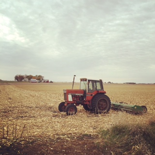 post harvest field.jpg