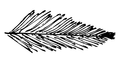 Wreath2_resized2.png