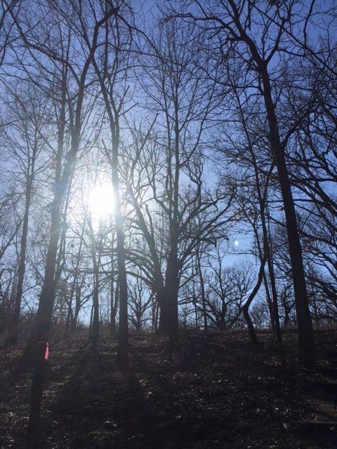 And let the sun shine!