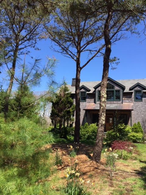 Appropriately named The Tree House as the view from the upstairs windows looks out into the tops of the trees.