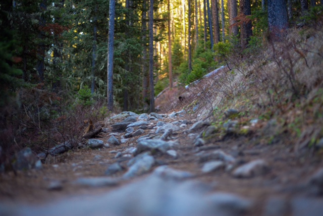 A path to peace...