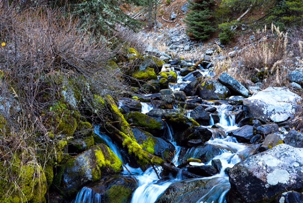 A peaceful mountain stream in Gallatin National Forest near Big Sky, MT