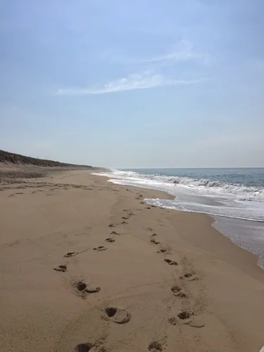 Footsteps in the sand. South Beach on Martha's Vineyard, Massachusetts.