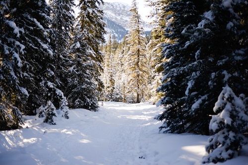 Whether or not there is snow in your neighborhood, wear your Snowy Walk cowl wherever you are and dream of a winter wonderland. Photo: Gallatin National Forest, south of Bozeman, MT.