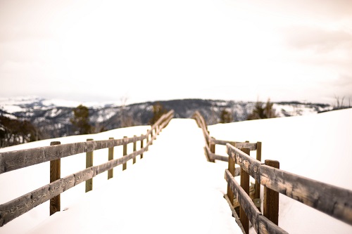 Near Mammoth, Yellowstone National Park.