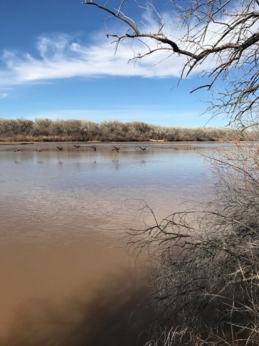 Along the Rio Grande River on the Aldo Leopold River Loop Trail.