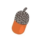 acorn_150.jpg