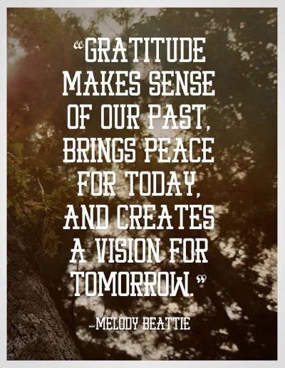 6425c9540a3deb847305feaa503bcff2--attitude-of-gratitude-gratitude-quotes.jpg