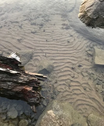 ripples in the sand.jpg
