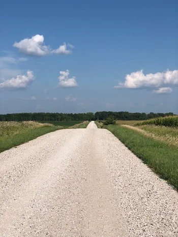 lots of walking 350.jpg