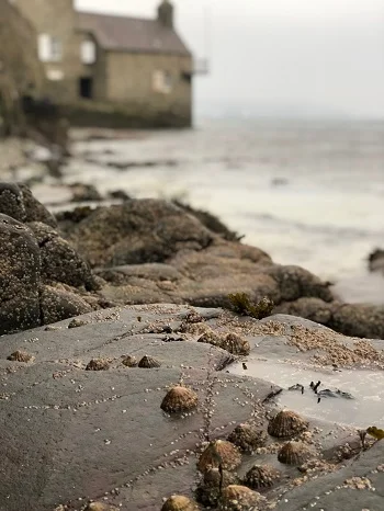 to the deep browns of the rocks and buildings.