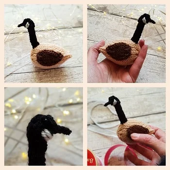 Name our peace goose!