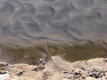 Muddy waters along the Rio Grand, New Mexico