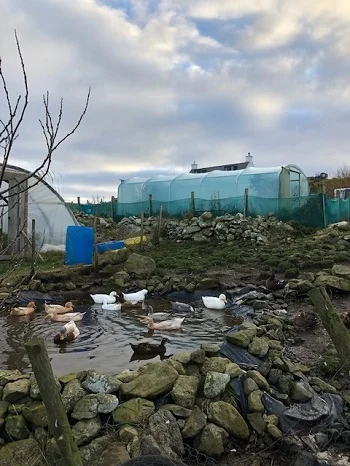 turriefield 3.jpg
