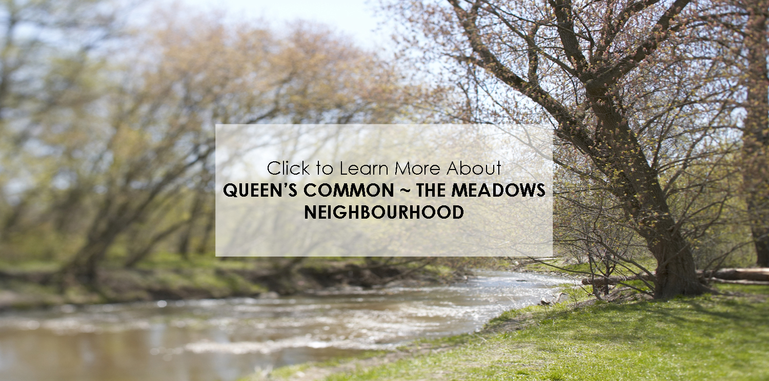 queens meadows neighbourhood copy.jpg