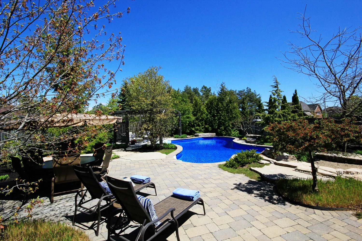 back_patio-(2).jpg