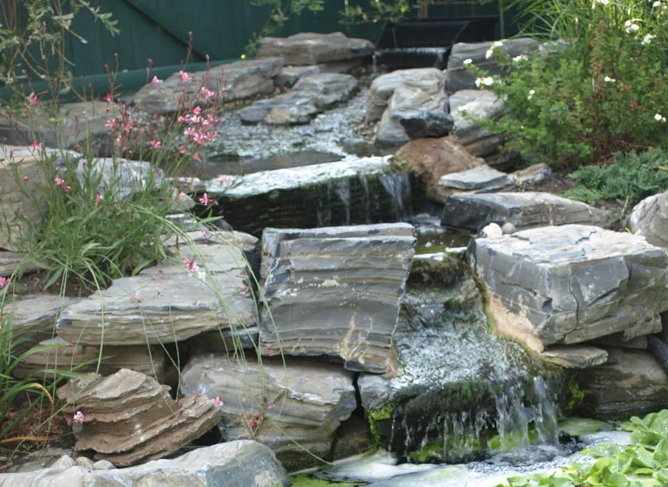 pond13aug09 copy.jpg