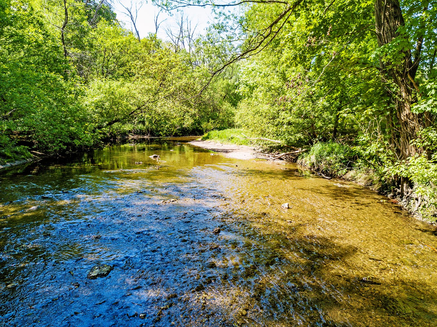 DJI_0062.jpg