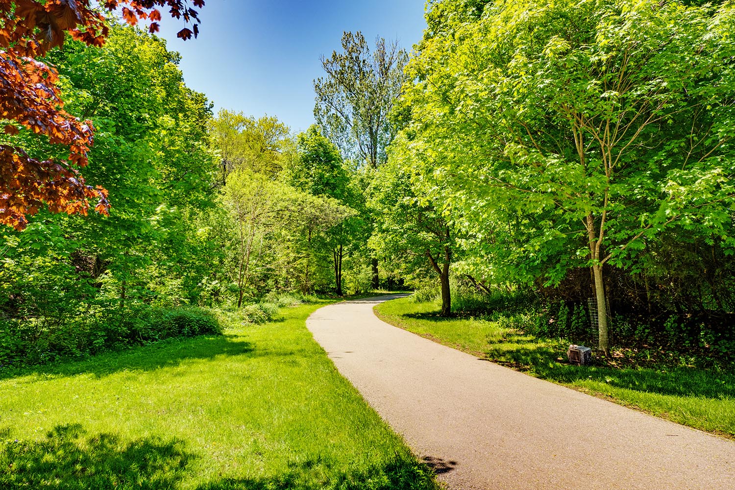 back_walking_trail.jpg
