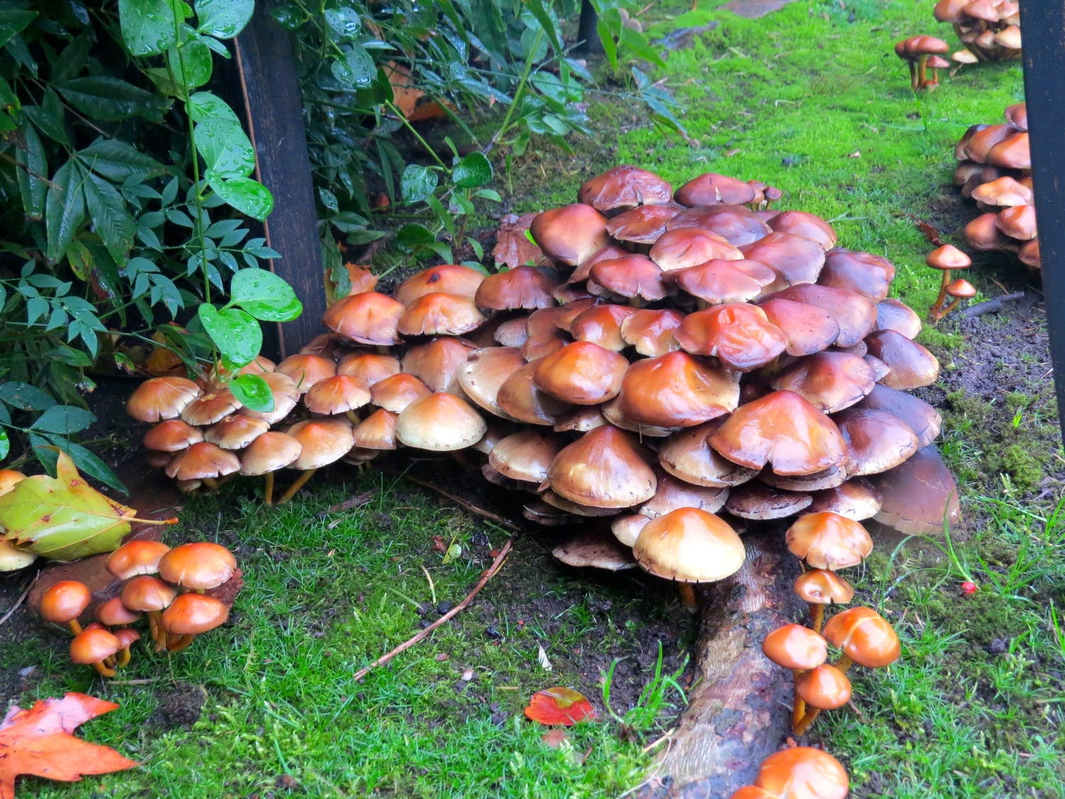 The Magic of the Moment