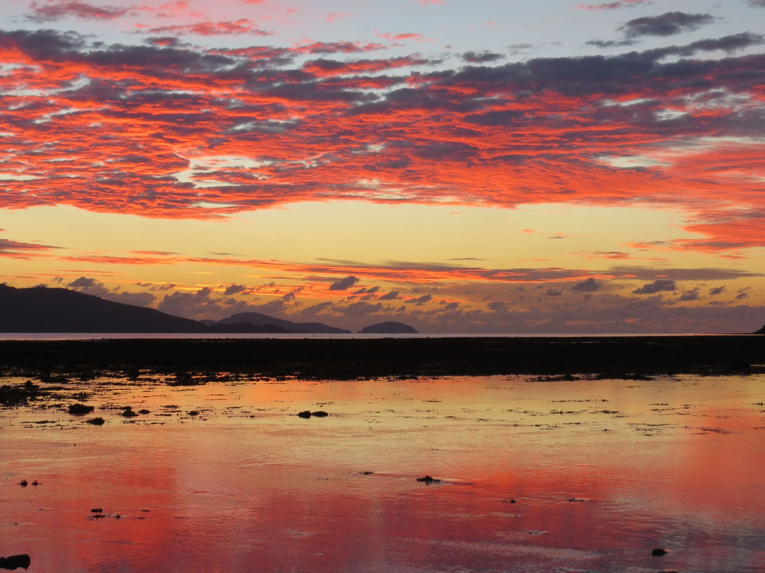 morning sky and low tide.jpg
