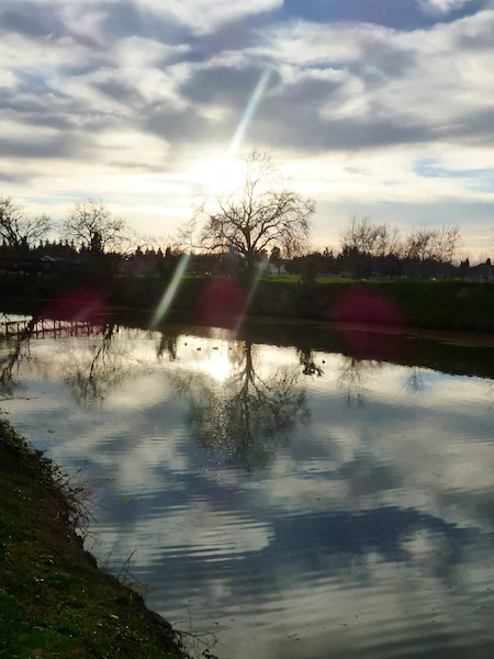 The Art Of Reflection