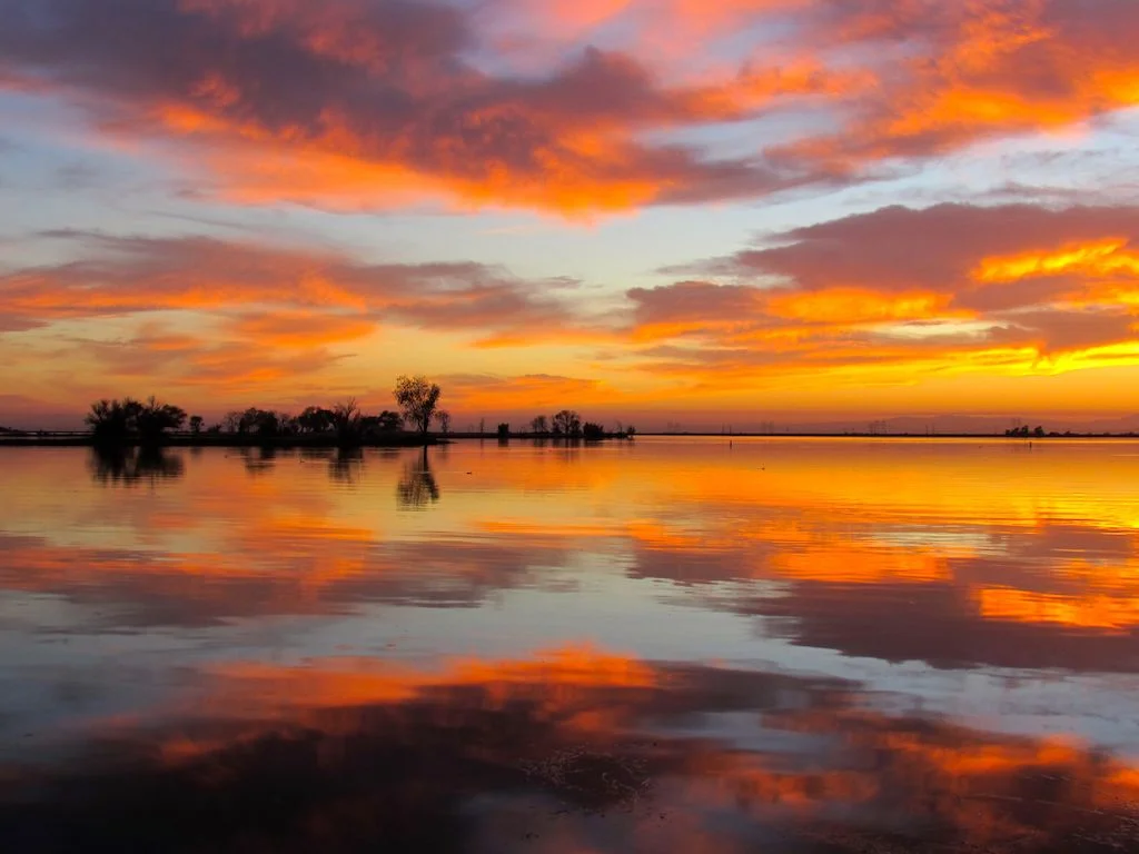 A Conspiracy For Greatness