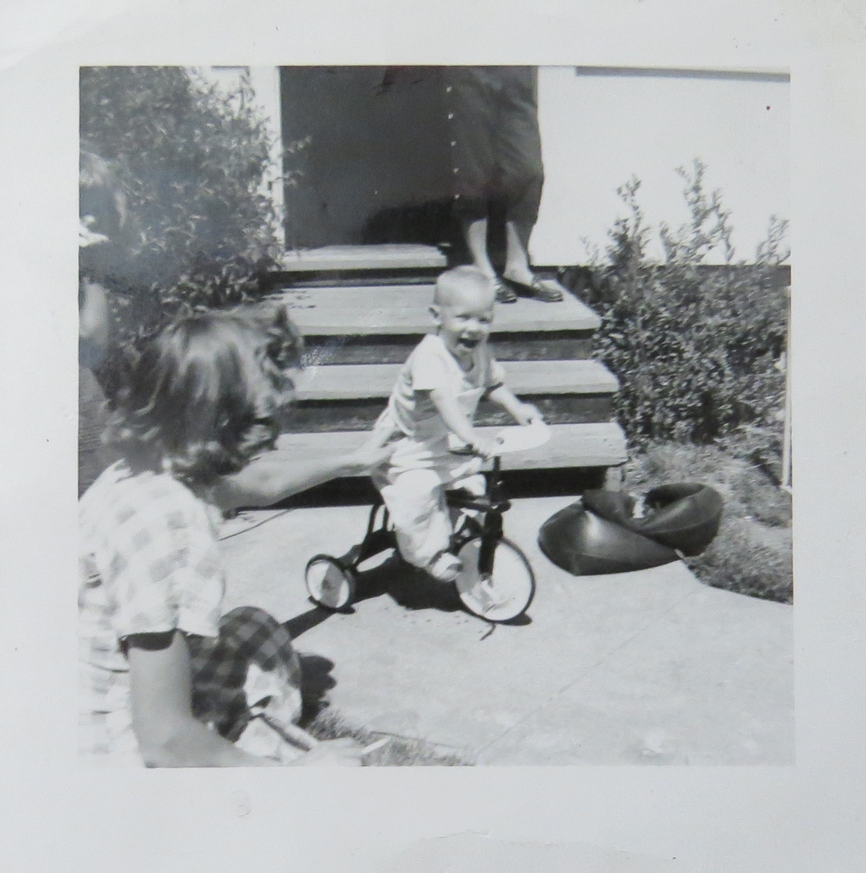 That's me, Happy on a tricycle, even after polio and a plethora of childhood illnesses. Such absolute delight in the moment.