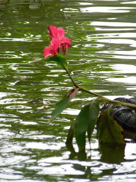 Stillness and Motion