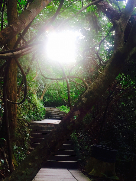 This scene from Wutong Shan, a mountain preserve in Shenzen appears to open a portal to another dimension. The shortest distance between two points is being there!