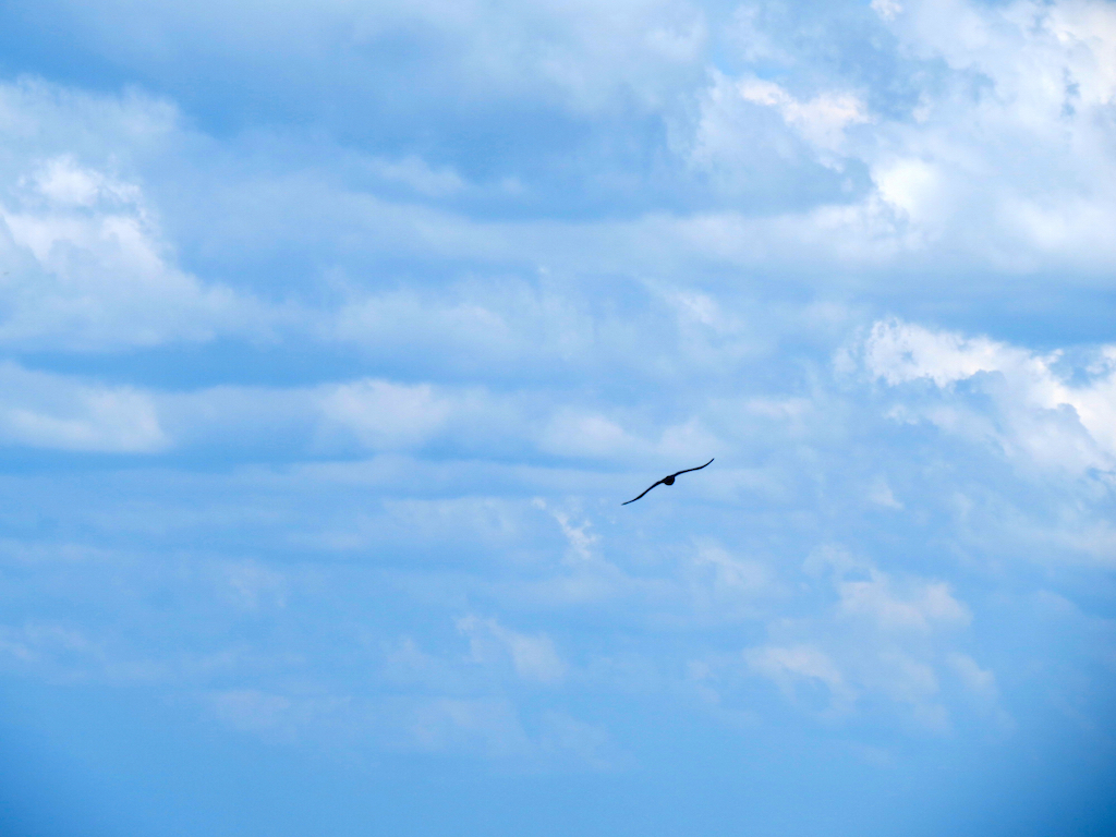 Edge of Freedom