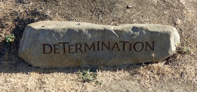 I Will Write