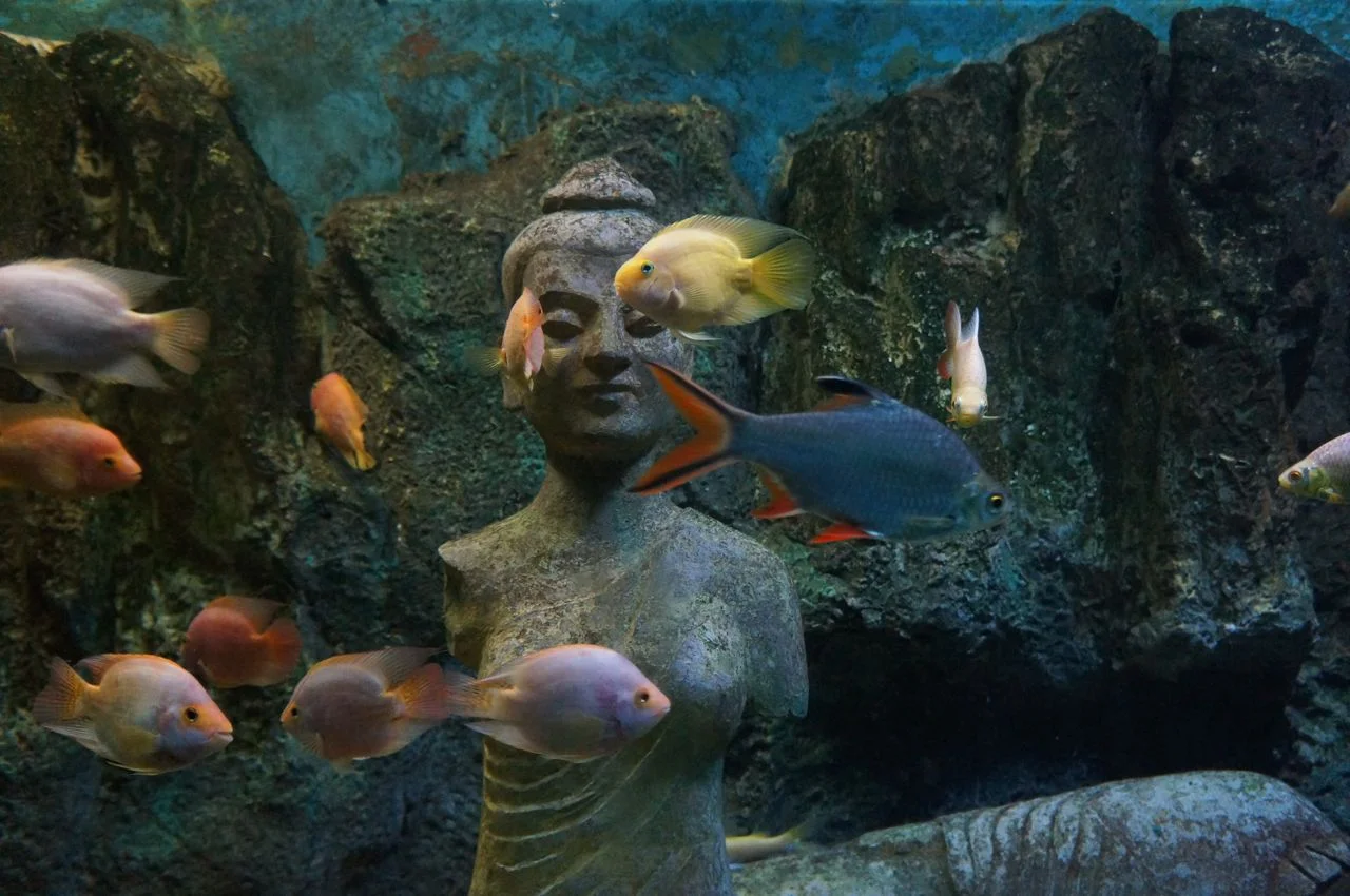 Deep Dive 2.jpg