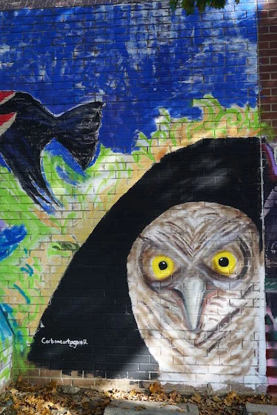 photo taken at the street art mural jam on 21st st in sacramento.