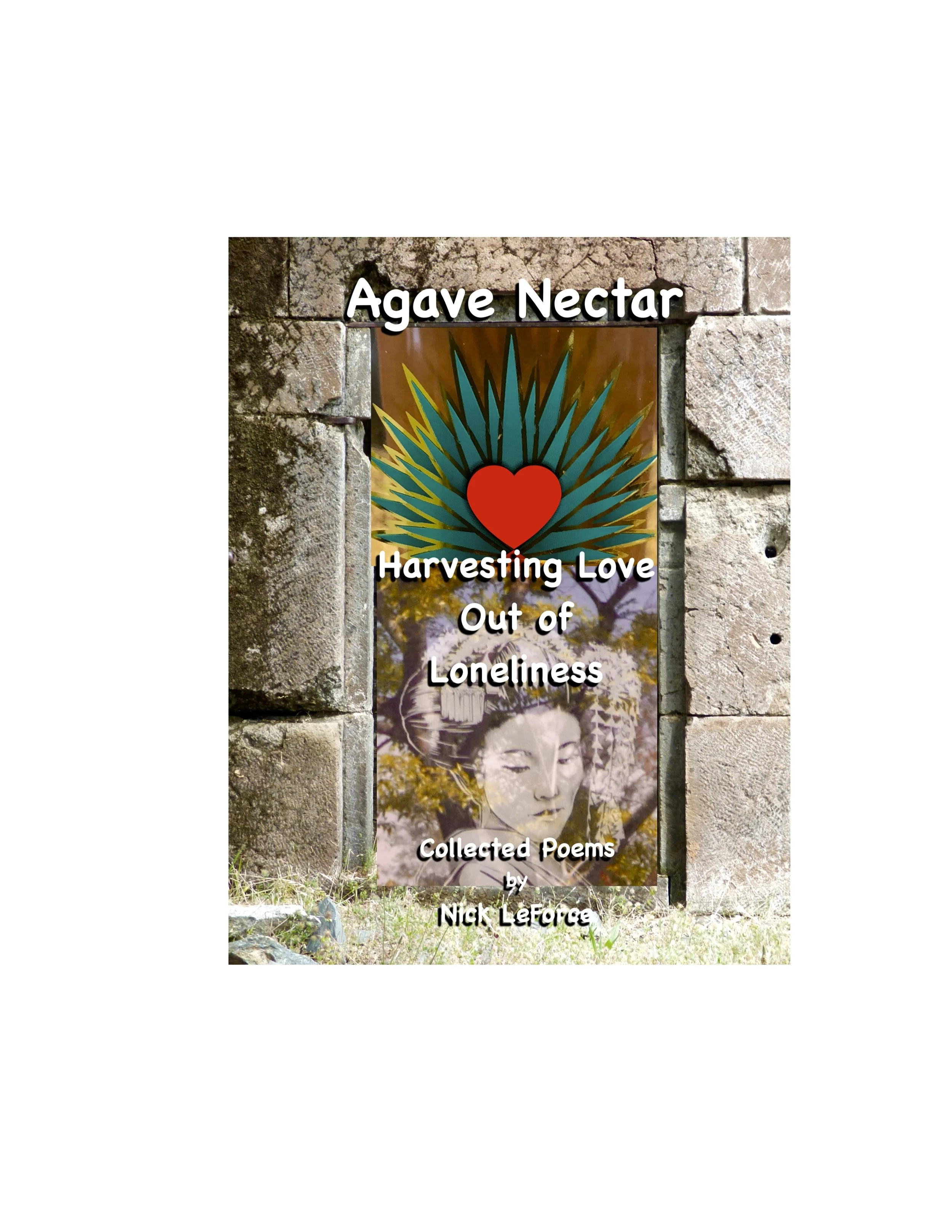 AN product book image  copy.jpg