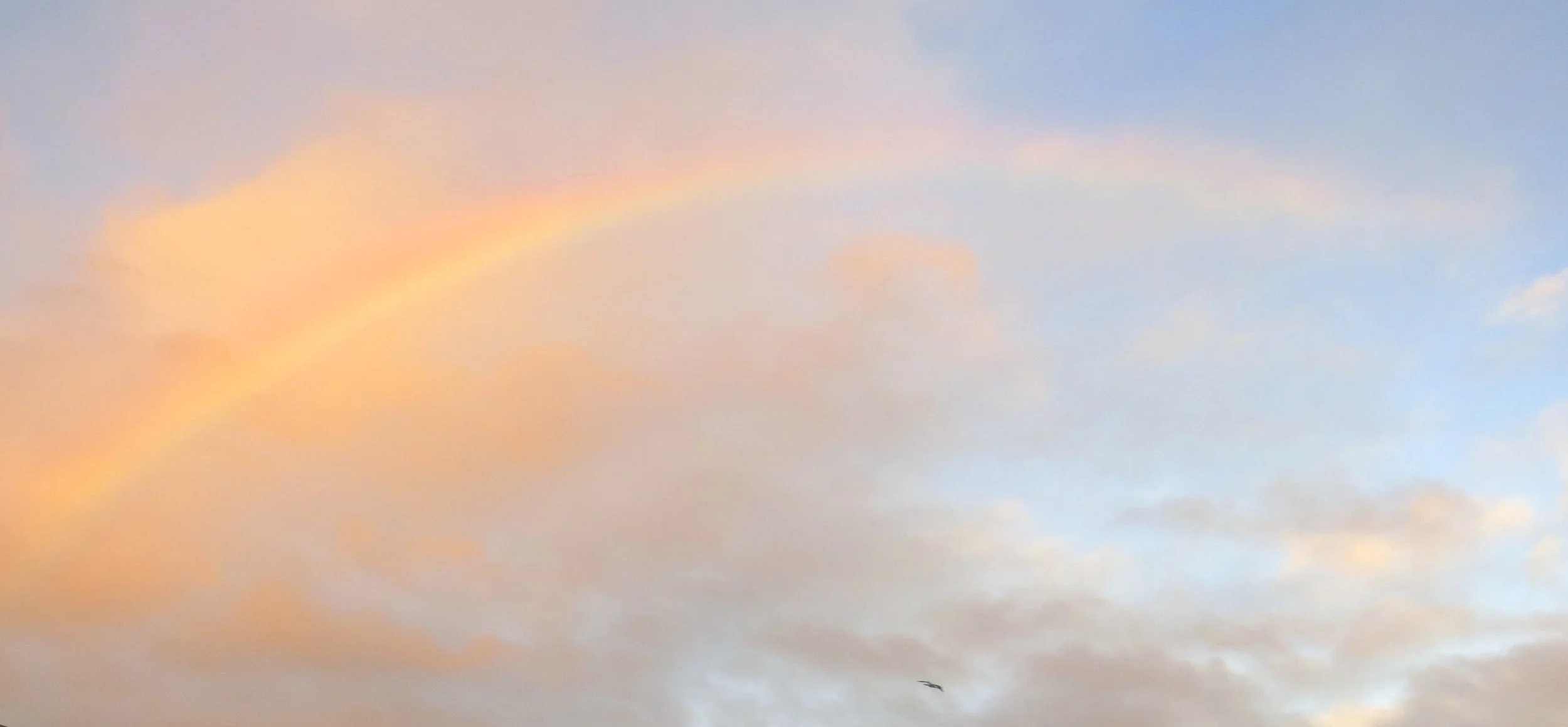 Rainless Rainbow 2 copy.jpg