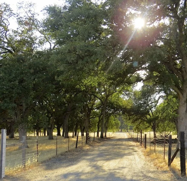 The Road Less Travelled