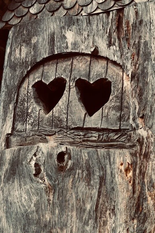 Redwood heart eyes small.jpg