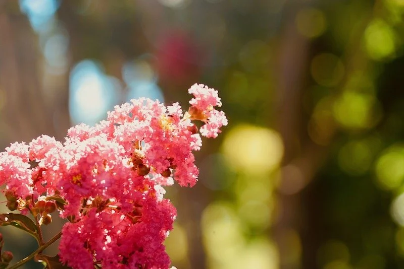 Everything Is Shouting, Wake Up