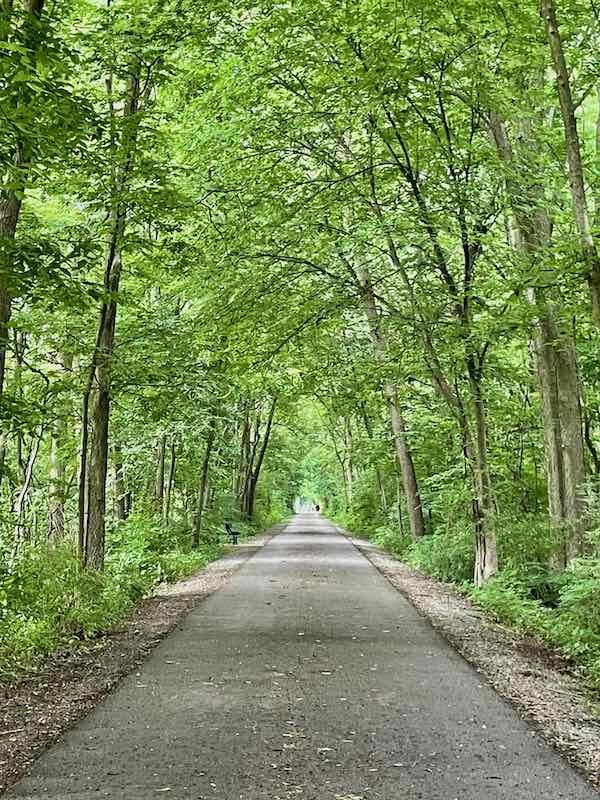 Constitution Trai. August 2022 copy.jpeg