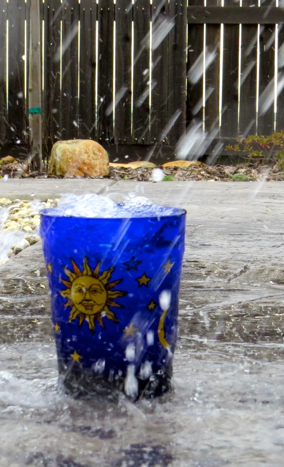 Cup Of Life.jpg