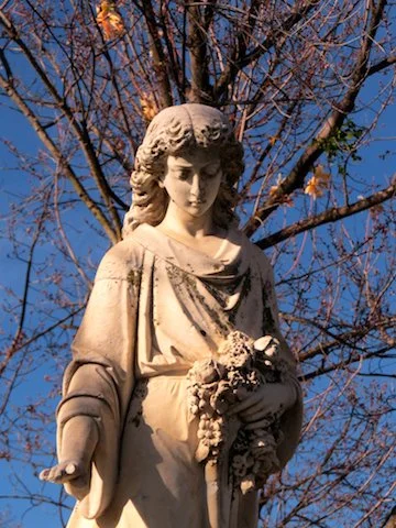 Angel ad tree copy.jpg