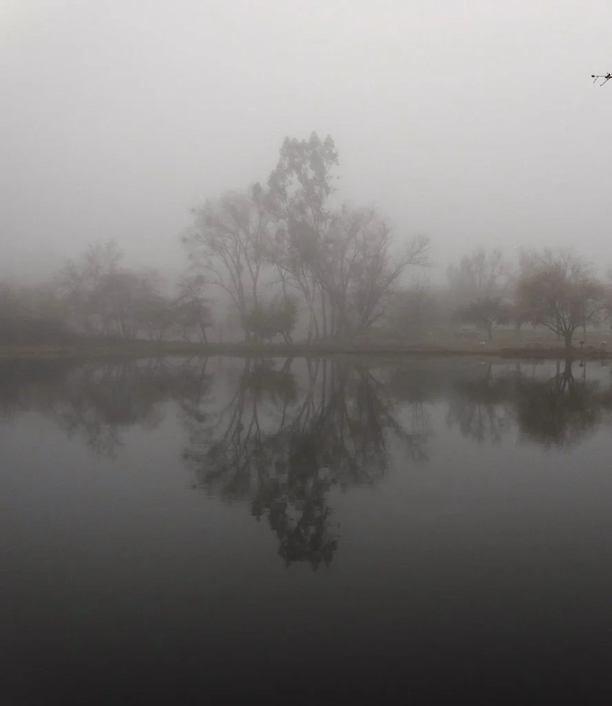 river reflected 3 copy.jpeg
