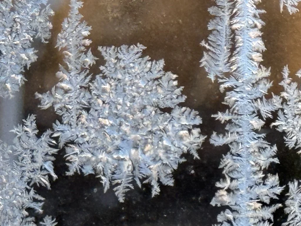 Ice Crystals on Window small.jpg
