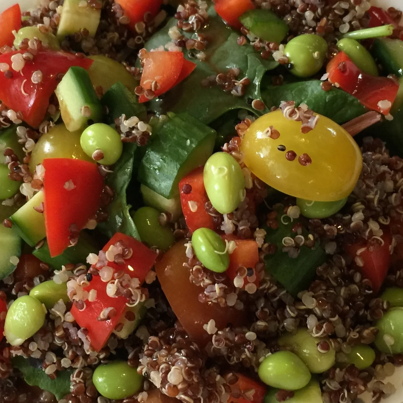 Layered Protein Salad