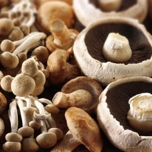 Creamless Mushroom Soup