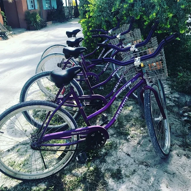 The Bike with a Purpose bicycles