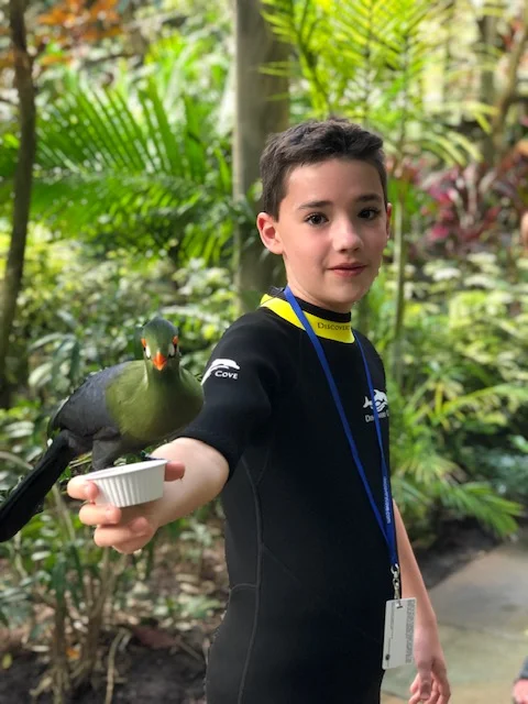 My son, the Bird Boy.