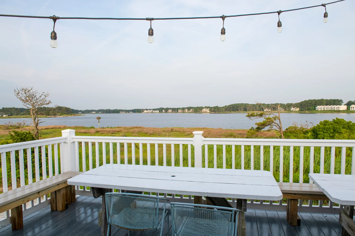 bluecoast_seafood_grill_sodel_concepts_32.jpg