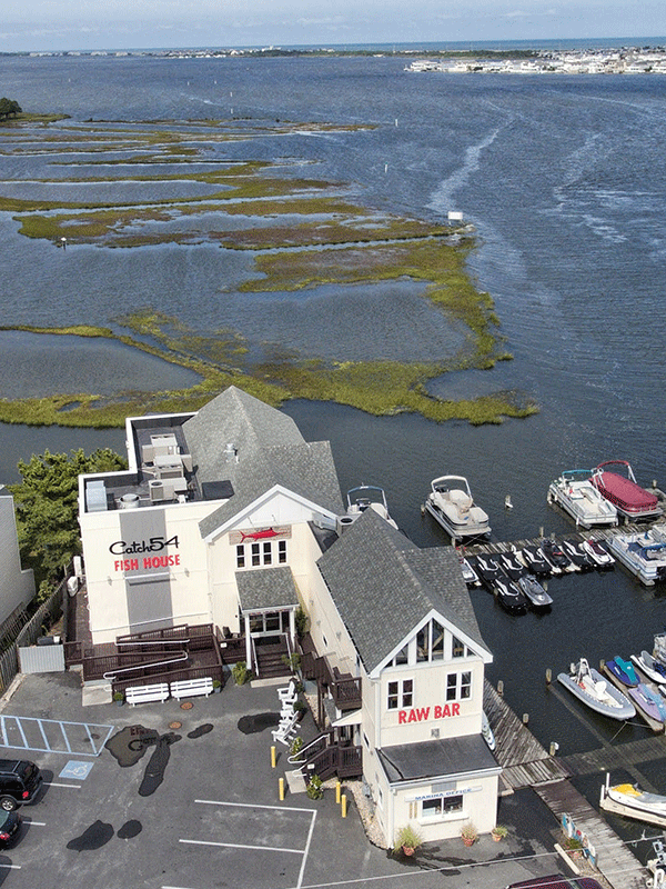 catch54_sodel_concepts_fenwick_delaware_32.png
